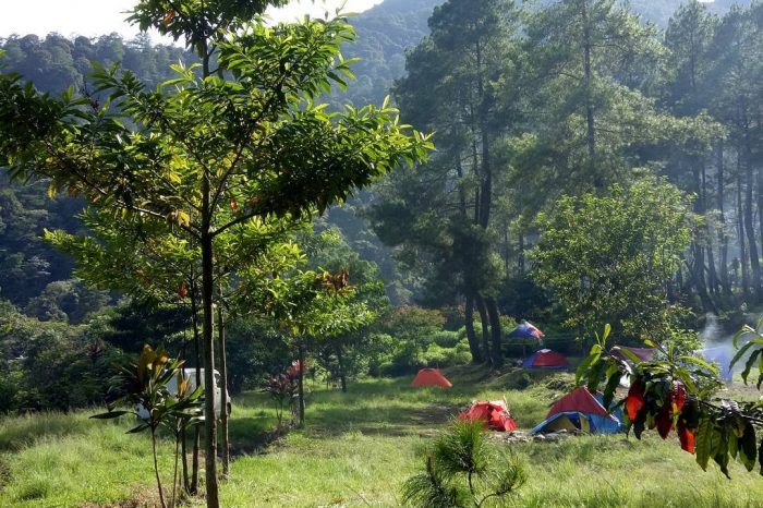 Puntang Coffee Trail